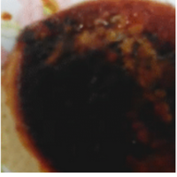 detalle de budin de pan horneado servido en plato redondo