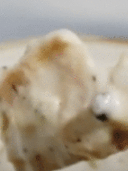 heura con salsa servida en un plato