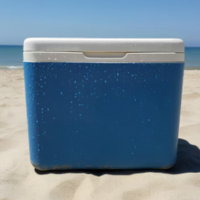 nevera azul pequeña con la playa de fondo